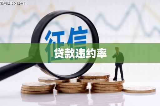 米易贷款违约率
