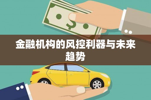 米易金融机构的风控利器与未来趋势