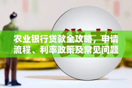 米易农业银行贷款全攻略，申请流程、利率政策及常见问题解析