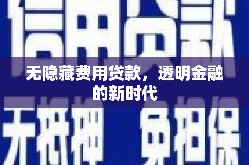 米易无隐藏费用贷款，透明金融的新时代