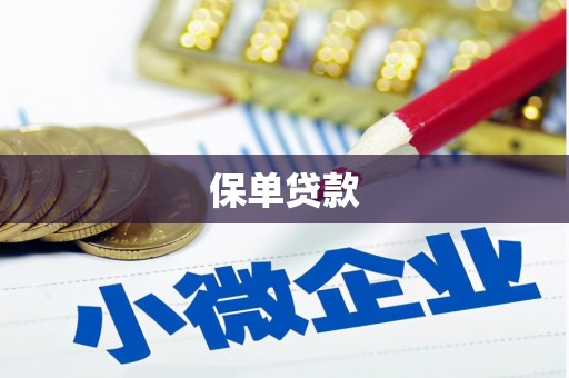 米易保单贷款