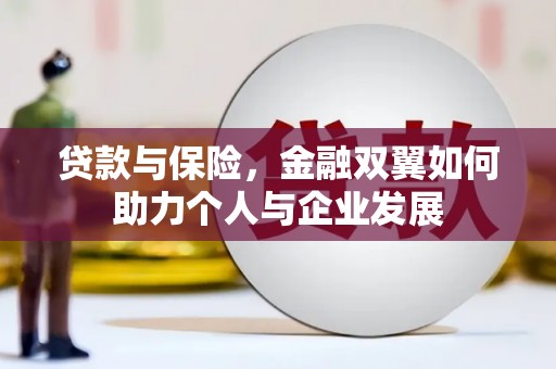 米易贷款与保险，金融双翼如何助力个人与企业发展