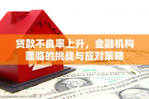 米易贷款不良率上升，金融机构面临的挑战与应对策略
