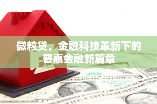 米易微粒贷，金融科技革新下的普惠金融新篇章