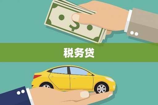 米易税务贷