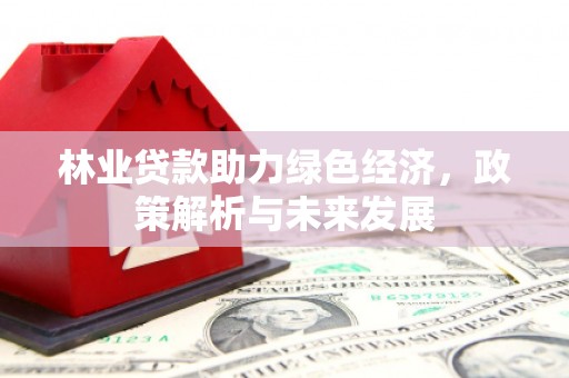 米易林业贷款助力绿色经济，政策解析与未来发展