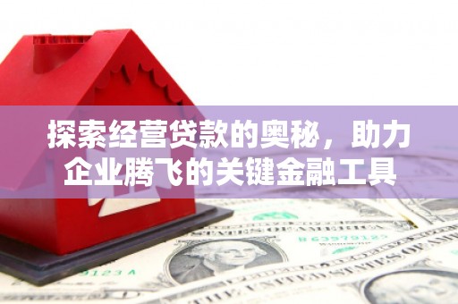 米易探索经营贷款的奥秘，助力企业腾飞的关键金融工具