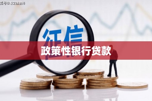 米易政策性银行贷款