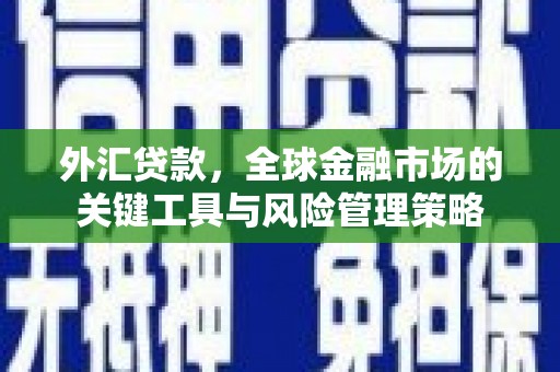 米易外汇贷款，全球金融市场的关键工具与风险管理策略