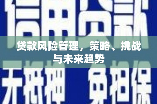 米易贷款风险管理，策略、挑战与未来趋势