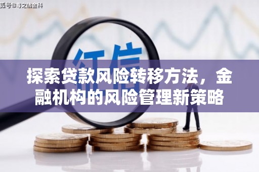 米易探索贷款风险转移方法，金融机构的风险管理新策略