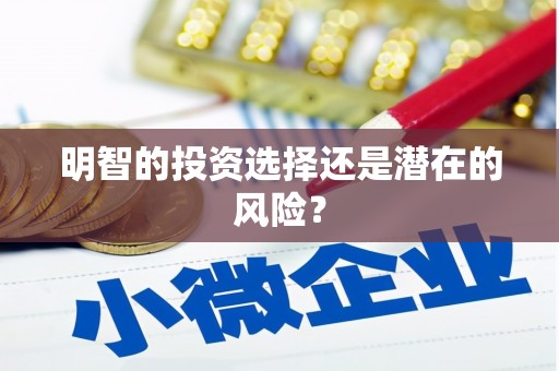 米易明智的投资选择还是潜在的风险？