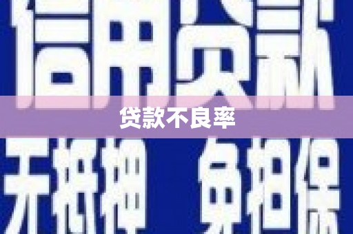 米易贷款不良率