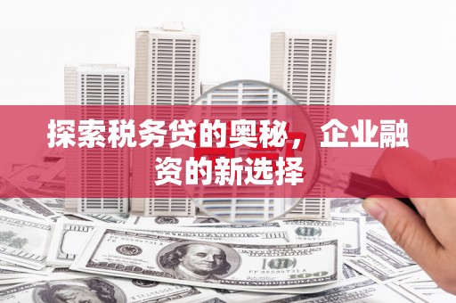 米易探索税务贷的奥秘，企业融资的新选择