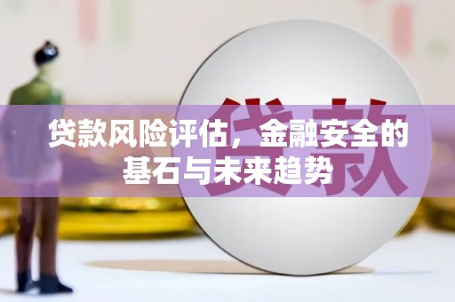 米易贷款风险评估，金融安全的基石与未来趋势