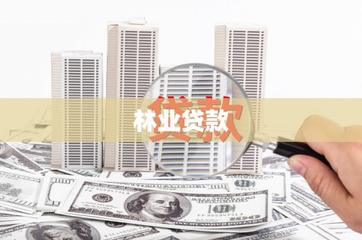 米易林业贷款