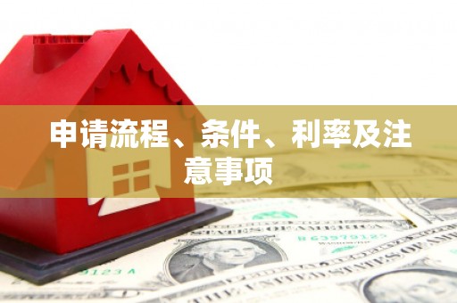 米易申请流程、条件、利率及注意事项
