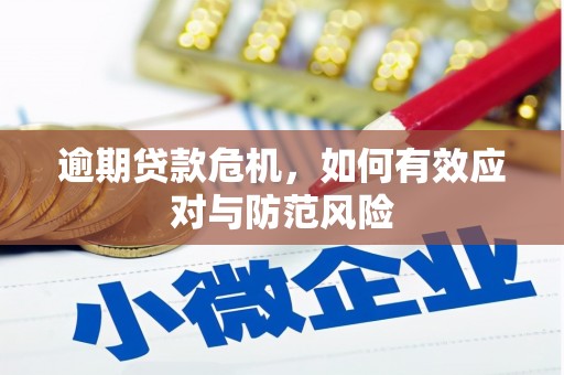 米易逾期贷款危机，如何有效应对与防范风险