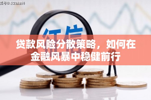 米易贷款风险分散策略，如何在金融风暴中稳健前行
