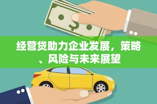 米易经营贷助力企业发展，策略、风险与未来展望