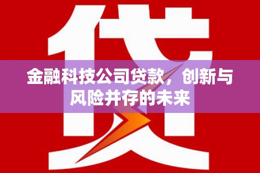 米易金融科技公司贷款，创新与风险并存的未来