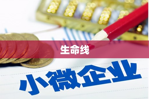 米易生命线