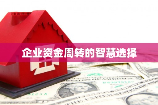 米易企业资金周转的智慧选择