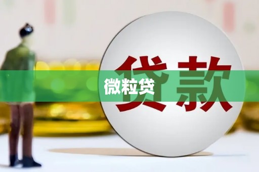 米易微粒贷
