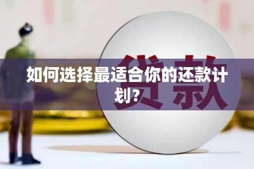米易如何选择最适合你的还款计划？