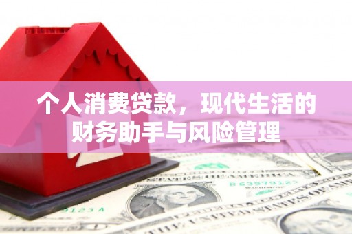 米易个人消费贷款，现代生活的财务助手与风险管理