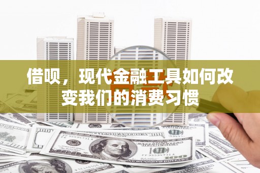 米易借呗，现代金融工具如何改变我们的消费习惯