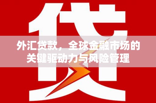 米易外汇贷款，全球金融市场的关键驱动力与风险管理