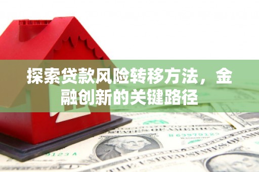 米易探索贷款风险转移方法，金融创新的关键路径