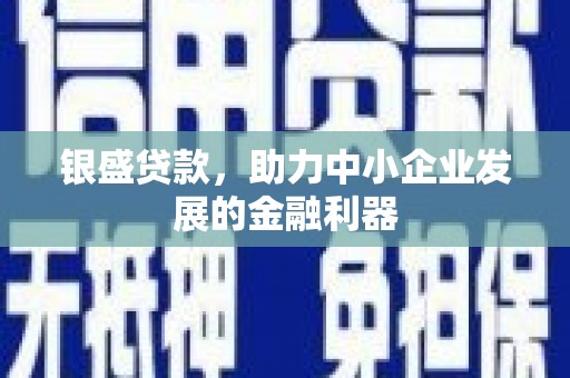米易银盛贷款，助力中小企业发展的金融利器
