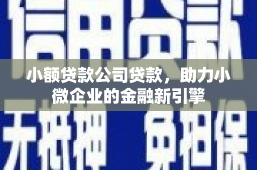米易小额贷款公司贷款，助力小微企业的金融新引擎