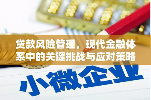 米易贷款风险管理，现代金融体系中的关键挑战与应对策略