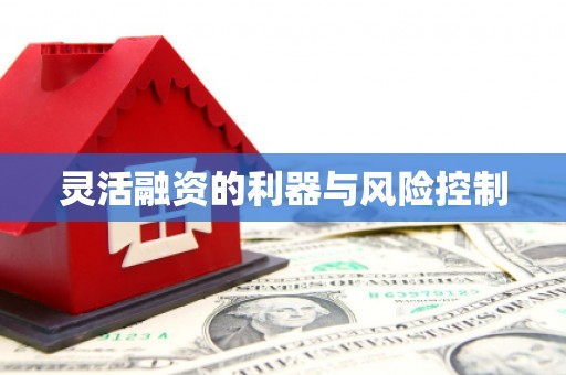 米易灵活融资的利器与风险控制