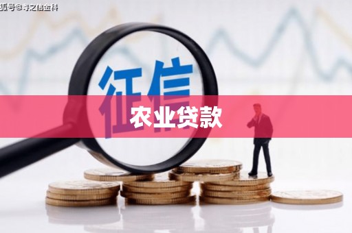 米易农业贷款
