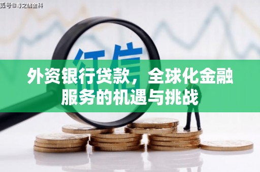 米易外资银行贷款，全球化金融服务的机遇与挑战