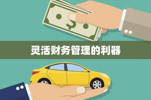 米易灵活财务管理的利器
