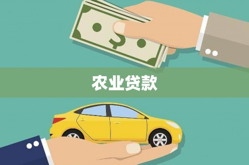 米易农业贷款