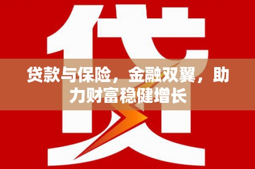米易贷款与保险，金融双翼，助力财富稳健增长