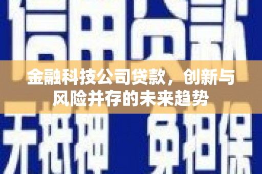 米易金融科技公司贷款，创新与风险并存的未来趋势