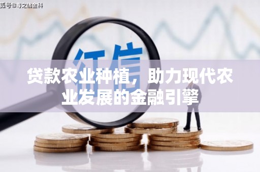 米易贷款农业种植，助力现代农业发展的金融引擎