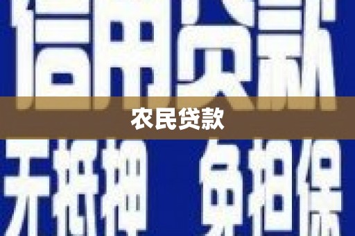 米易农民贷款