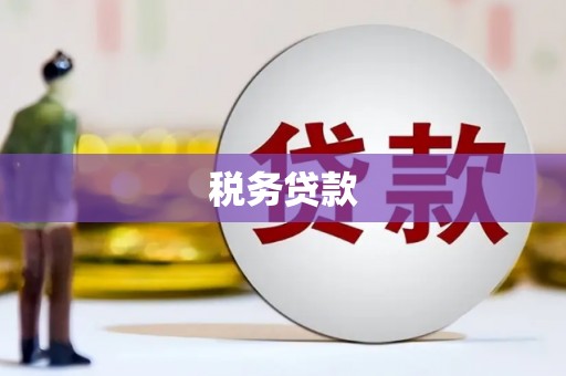 米易税务贷款