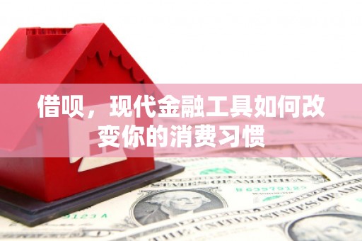米易借呗，现代金融工具如何改变你的消费习惯