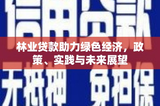 米易林业贷款助力绿色经济，政策、实践与未来展望