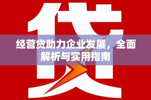米易经营贷助力企业发展，全面解析与实用指南