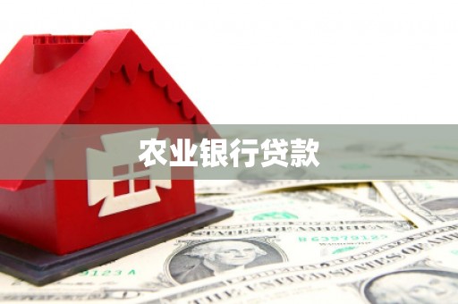 米易农业银行贷款